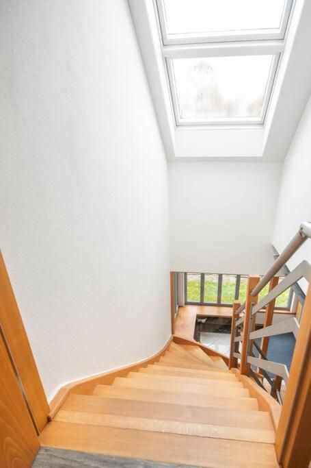 Apartamento Odenwaldblick Lutzelbach Exterior foto